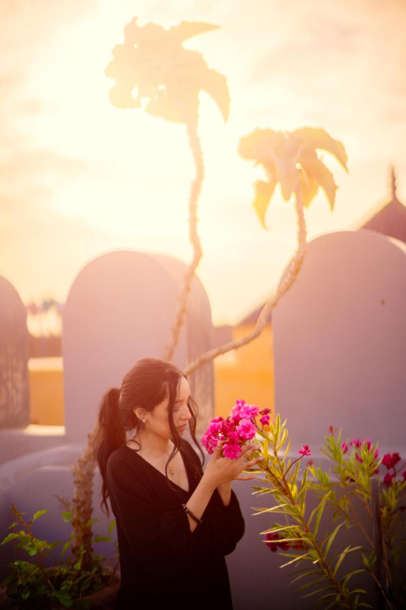 מרקש Riad Roxanne מראה חיצוני תמונה